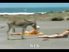 Grand garçon, petite blonde. vrai film porno francais